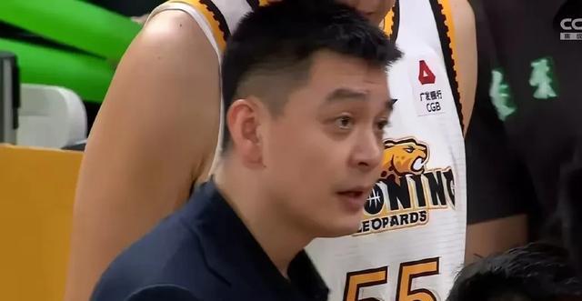 特别是常规, 小外援